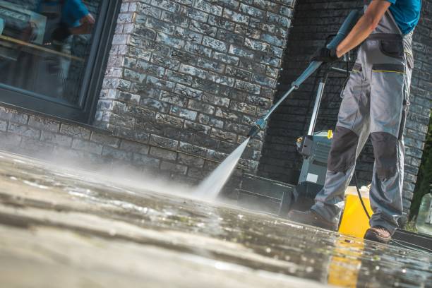 Best Animal Enclosure Cleaning  in Hampton, AR
